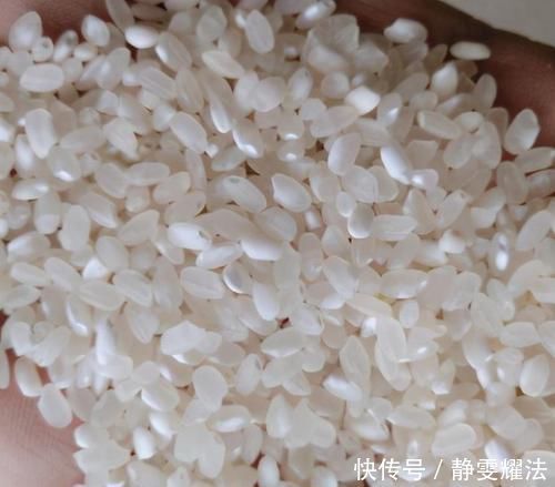 选大米时,米粒选长粒还是圆粒?教你一个方法,看完别再出错!
