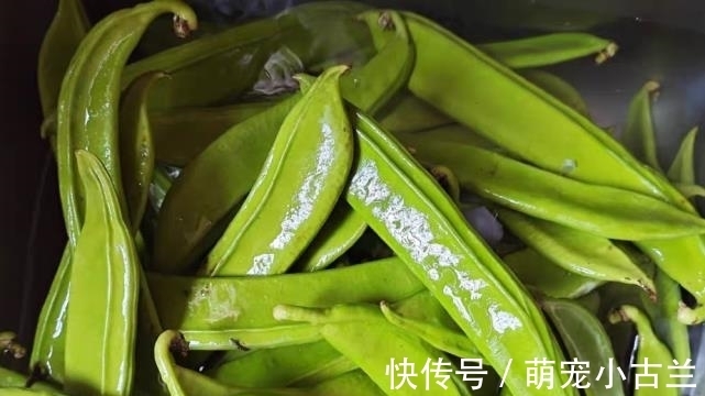 食物|最补钙的食物是它，正当季，一盘等于10个鸡蛋，孩子长个头不长肉