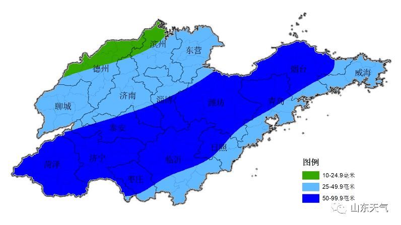 树龄|暴雨+降温+大风组团来了！