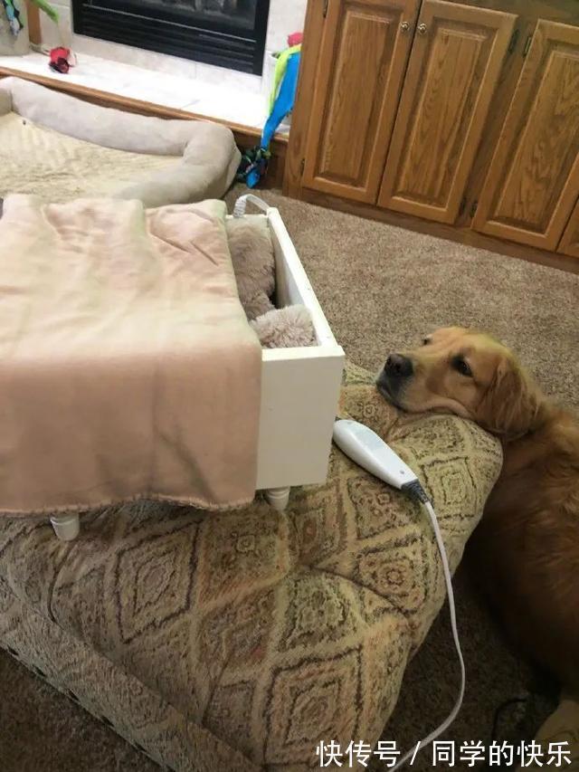 |翻开前信誓旦旦：这一定是米奇  冷段子2023