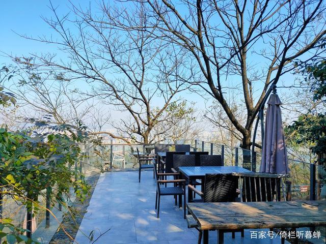 《七绝.初冬印象》霜染苍茫已入冬，枝条飞叶落无穷