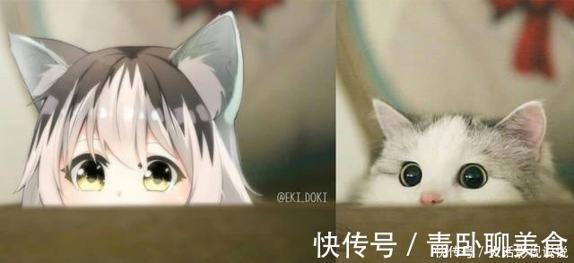机车娘|万物皆可“拟人化”,躲过可爱的舰娘和机车娘,却羡慕猫狗的爱情