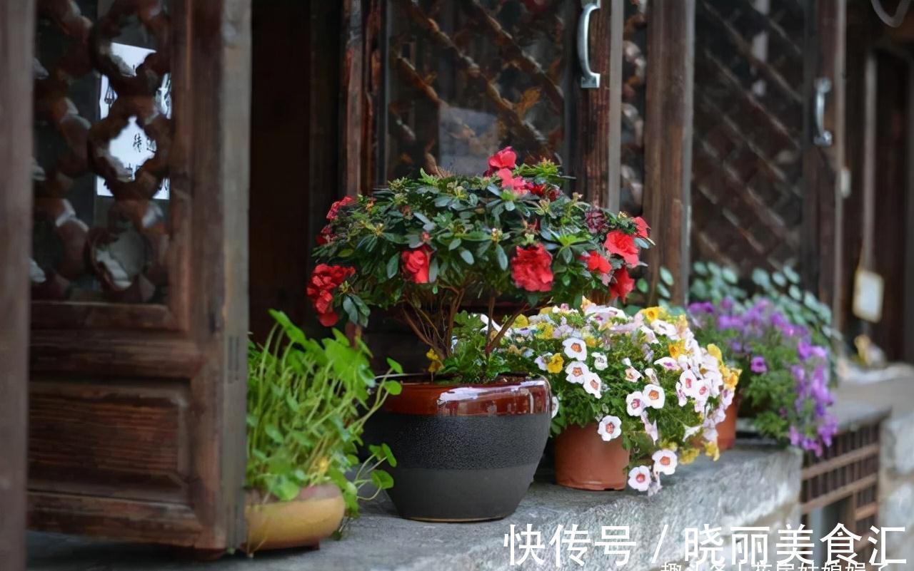 养花新手时常犯的5个养花错误，看似很美丽，实际很费钱