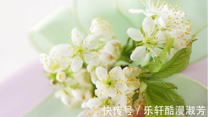 感情|没有隔夜仇,吵架之后先妥协,主动放下恩怨的星座