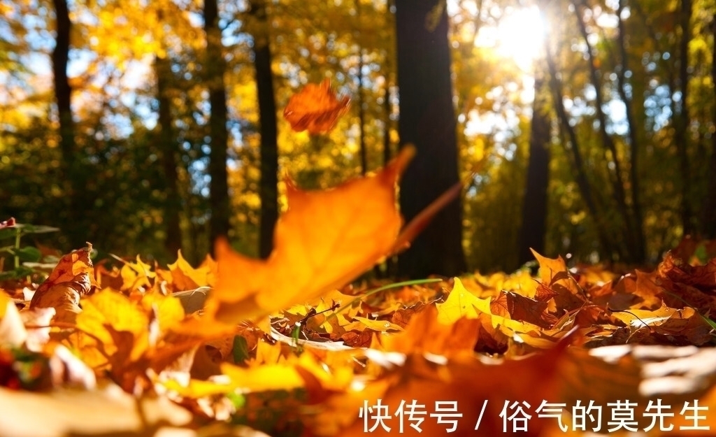 赏心亭#陆游初秋时登亭远眺,创作了一首七律,沉郁悲壮,又跌宕起伏