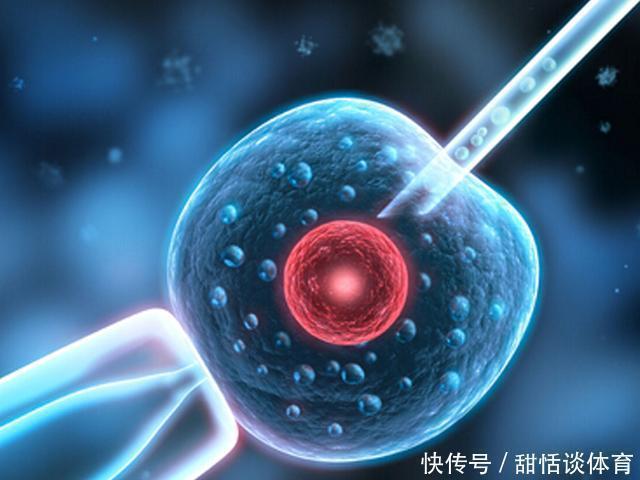 差别|试管婴儿和普通婴儿有什么差别,寿命?健康?这些可能会有些不同