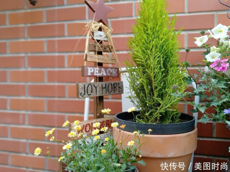 花园改造:3年前买了栋带170㎡花园的房子,过上种花草的乡村生活