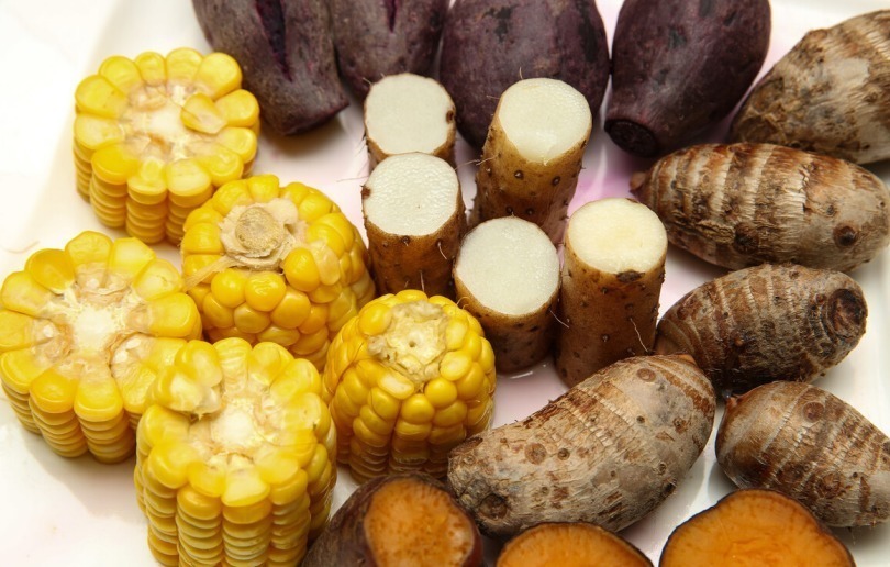 肠胃|研究胃病40年院士养胃其实并不难,日常吃1“零食”,胃会更好