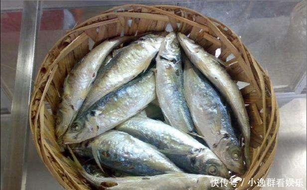 年后|刘伯温去世前，送了朱元璋一筐鱼，为何朱元璋17年后才明白？