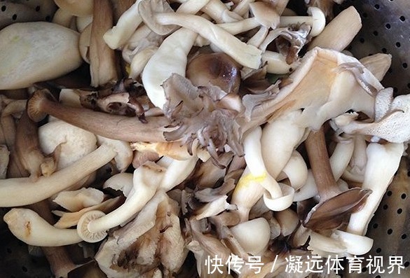 小胖子|有3种食物家长少让孩子吃,会阻碍“钙”吸收,影响孩子发育