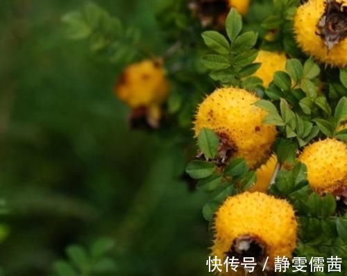 食物|聰明的女性都在吃3種食物，排出毒素，凈化血液，調理身體