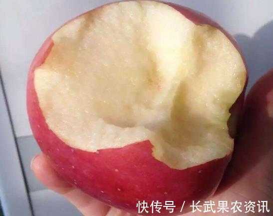 苹果|长武红富士苹果，止渴生津，果真不同