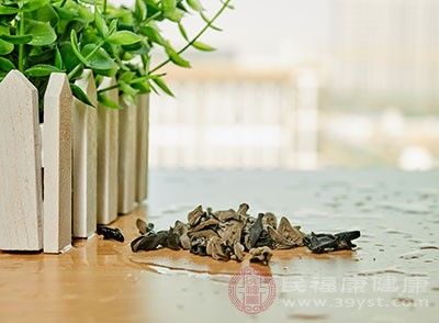  预防|木耳的功效 常吃这种食物能够预防结石