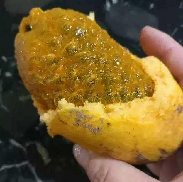 子宫|女性不想子宫早衰,晚上当零食吃几个,保养卵巢,更显年轻