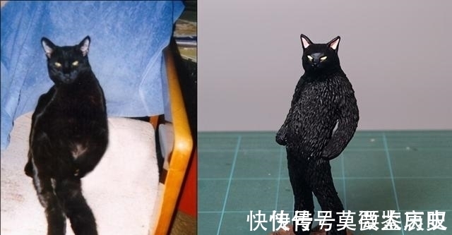 小猫|全球的猫都想屏蔽这个日本人，他到底做了多少沙雕手办？