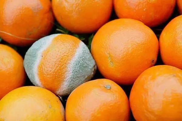 甲状腺激素|女网红直播时晕倒，确诊甲状腺癌，医生：3物经常吃，甲状腺或“烂如渔网”