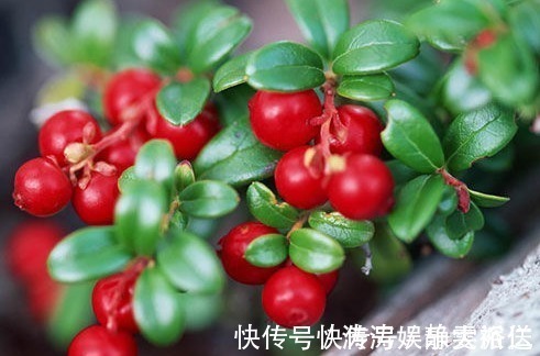 抗氧化|女人晚上当零食吃一把!排毒、美白、抗衰老,胜过敷面膜