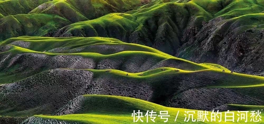 月光$我无法搬动岁月,你披着一身的月光停泊在秋天里