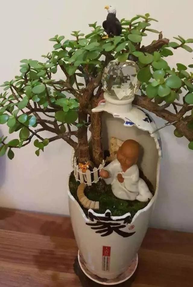 用3招，就能养出漂亮的盆栽，不愁没有花盆用了