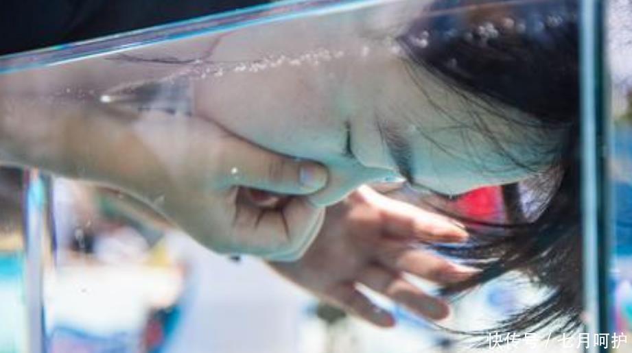 也许|老烟民们听好,若2个动作做不到,也许你真的需要“戒烟”了!