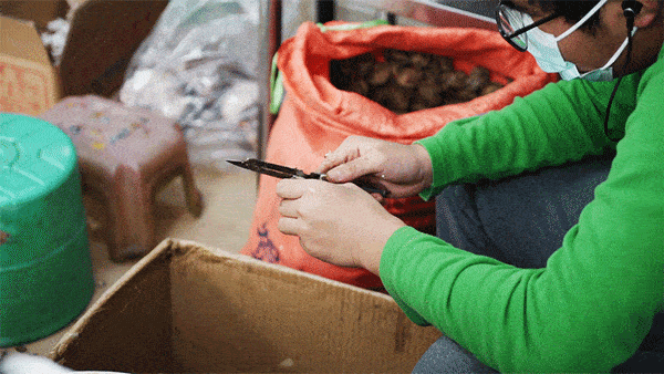 30多年来，只卖5种糕！龙津路上这家糕店，又挤满人了！