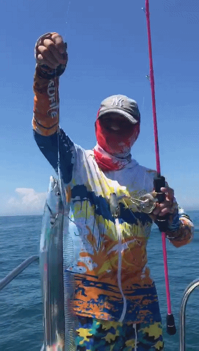 万不要错|买鱼时,看准这4种鱼,目前无法人工养殖,都是野生鱼,营养好吃