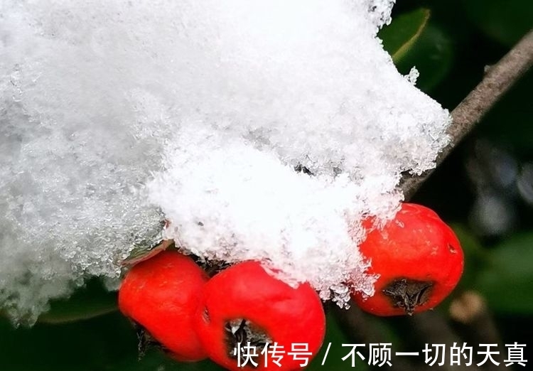 盛荣!七律 辞别2021 迎接2022(外六首)