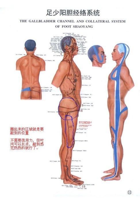 堵塞|健康养生：敲胆经，敲掉垃圾，敲除白发，收藏了吧