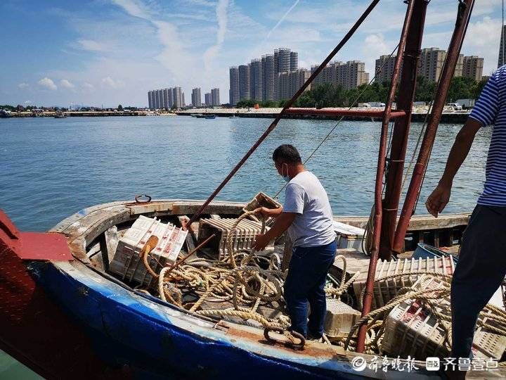 开海遇上开学日！情报员带你直击现场，恭喜|9月1日最佳情报| 李晓强