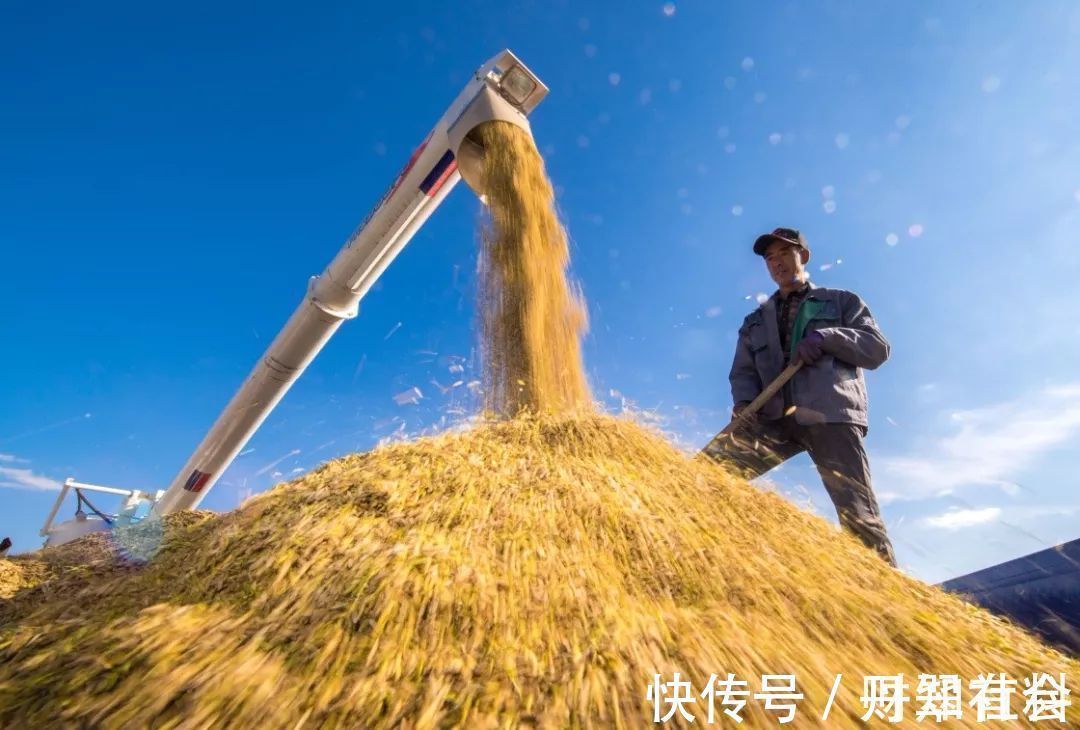 住房|10年后,房和车或将“没价值”?2个不起眼的东西才是“香饽饽”