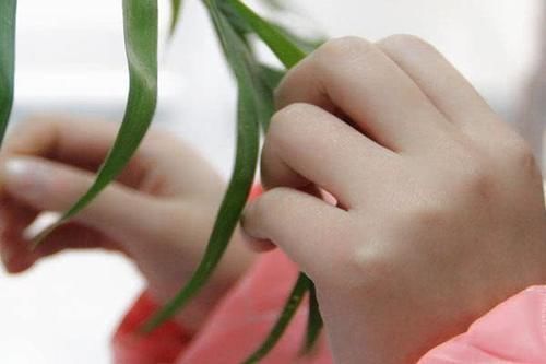 三分钟|手上有个“养肺按钮”,每天搓揉三分钟,提高免疫,肺或会更强壮