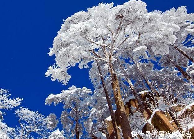 风景|安徽黄山被称为天下第一奇山，被古人称赞的黄山到底有怎样的魅力