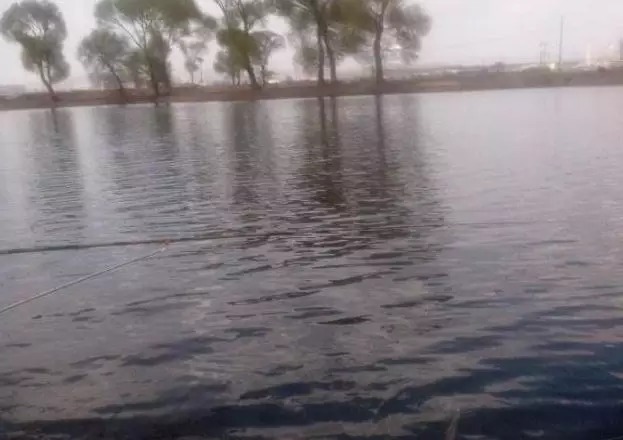 冬天钓鱼想找到鲫鱼一点也不难,按我的方法做,几分钟就能搞定!