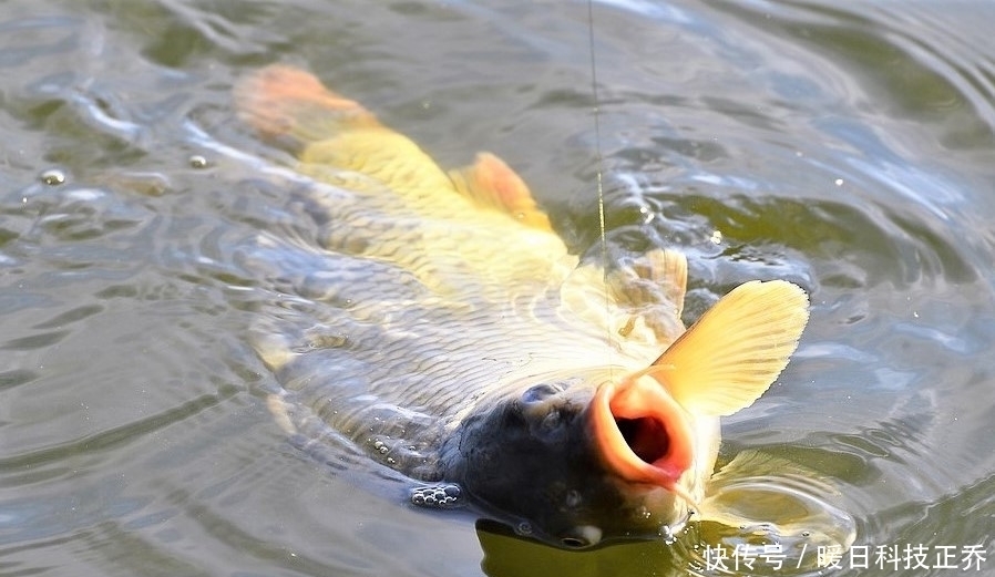 垂钓|钓鱼碰上走水、大风浪，解决方法有5种，选其一二便可轻松垂钓