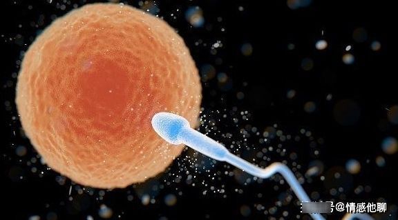 男性|男性也有最佳生育年龄,别不好意思看,希望你还没超过这个年龄!