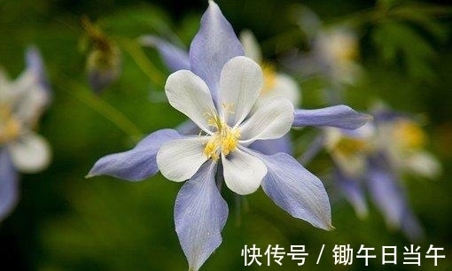 挂念|往后10天，痴心挂念，意义难忘，从天而降，交出真心，爱你一生