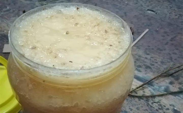 厨房这4种材料，原来是生根宝藏，教你自制生根剂