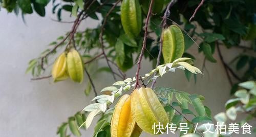 食物|长寿老人爱吃3种食物,壮体补肾,健脑补神,好吃又健康!