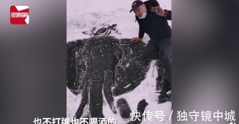 东北$东北男子在冰面上浮雕动物,一看成品太惊艳!网友:高手在民间