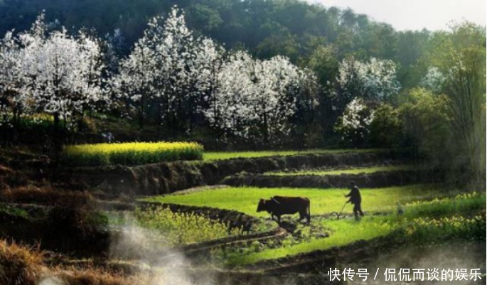  二十四节气|二十四节气-立春