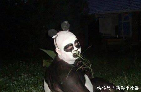 樱桃小丸子|日本节目迷惑人：难道动物园里的熊猫都是人扮演的？