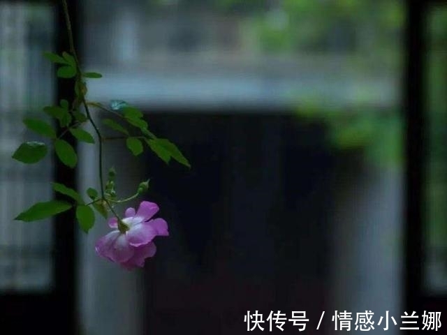 对方!爷爷说:为人处世,这四件事是“杀人不见血的刀”,要放下