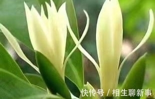 徐记肠粉&(温暖感人,推荐阅读)散文:老街往事