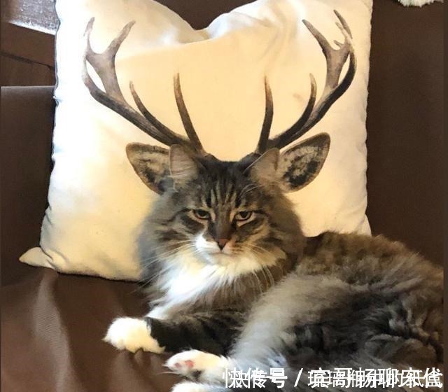 手办|日本网友制作沙雕手办,最后一张图太辣眼睛了!