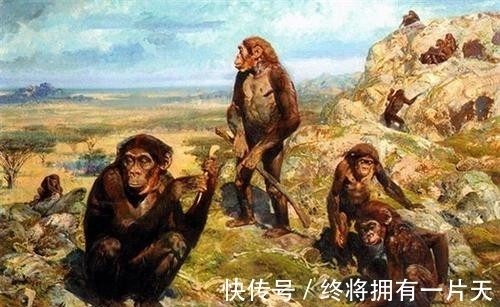 半导体|渔民捡到奇石,镶嵌2.5亿年前“芯片”,史前真的存在高等文明?