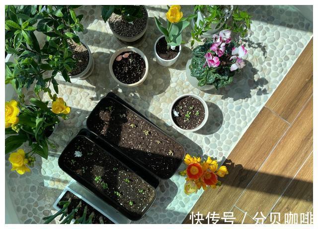 卫生间门|进门无玄关?试试她家的方法,还能多出一个餐厅,实用又耐看!