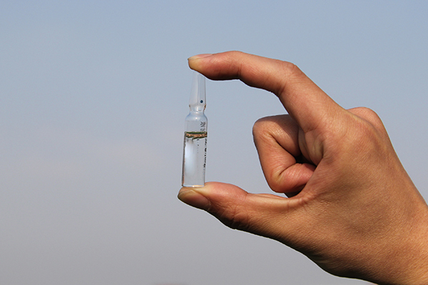 球菌|国产“糖尿病疫苗”出现每月打一次,不需要天天吃药