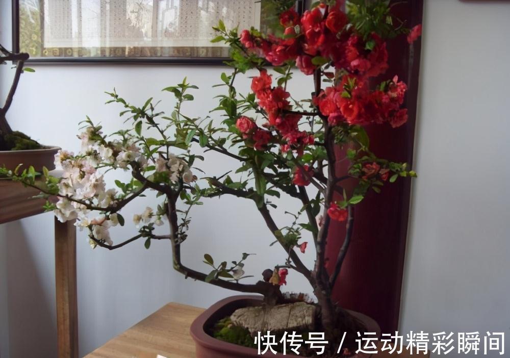 什么氮肥磷肥都不如2种药,水里加1粒秒变万能水,超好用