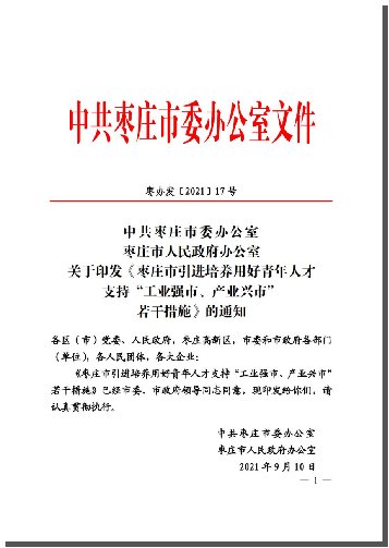 山东枣庄：全面推进青年发展友好型城市建设