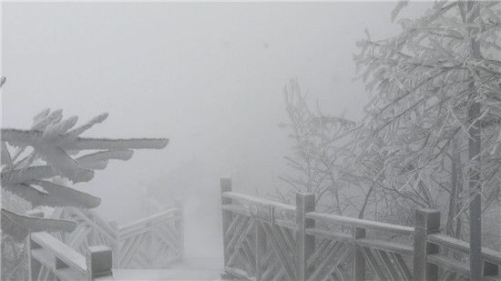 天门山|这次的雪下得好“过瘾”！张家界天门山又下雪啦！游客直呼好美